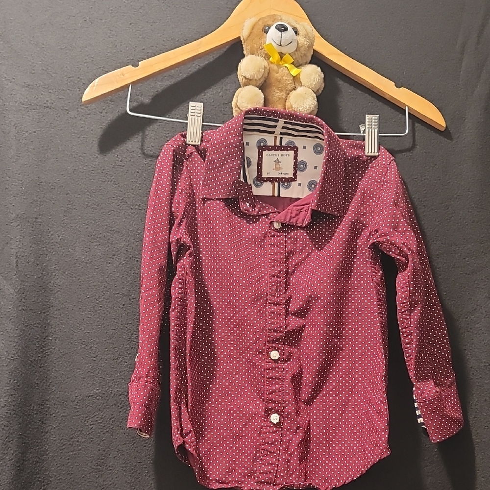 Cactus Burgundy Polka Dot Button Down Shirt